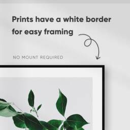 Green Leaf Prints, Set Of 2 Tropical Wall Art, Living Room Photography Posters, Monstera Leaves, Plants Bedroom Prints - thumbnail 2