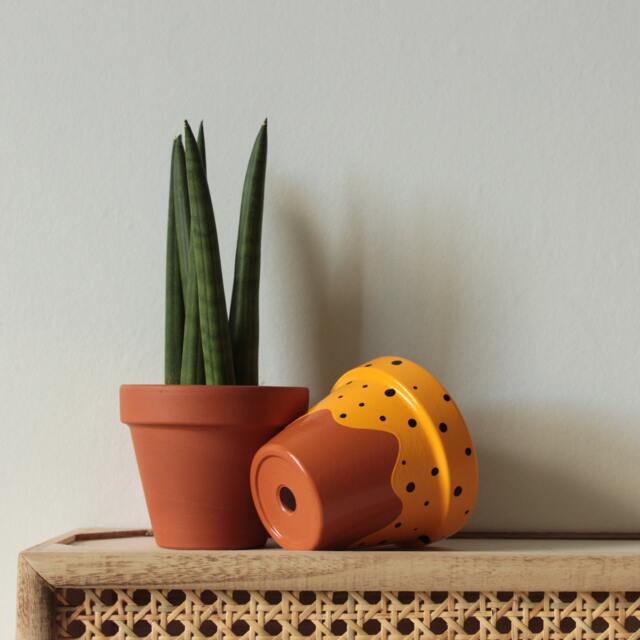 Hand Painted Terracotta Plant Pot For Houseplants - Customisable With Drainage & Saucers To Match Great Gift Idea - image 1