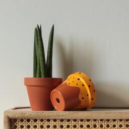 Hand Painted Terracotta Plant Pot For Houseplants - Customisable With Drainage & Saucers To Match Great Gift Idea - thumbnail 1