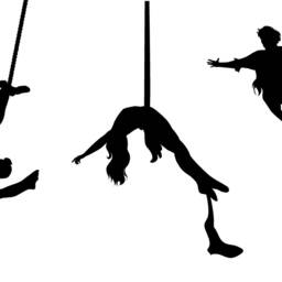 Trapeze Artist, Circus Wall Decal, Cirque Du Soleil, Carnival Decorations, Aerial Silks Decor - thumbnail 2