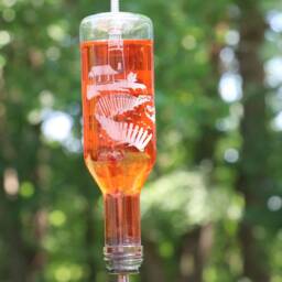 New Etched Lighthouse Recycled 187 Ml Wine Bottle Hummingbird Or Bird Feeder - thumbnail 3