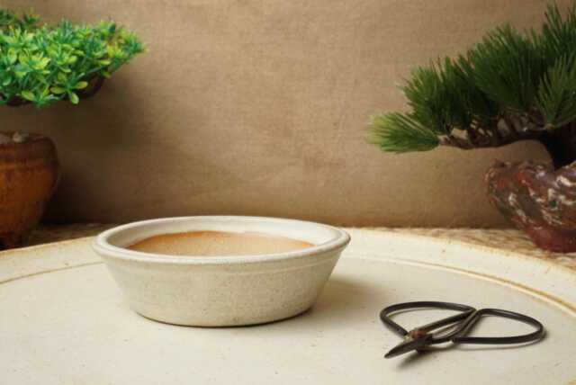 Handmade Cream Mame Bonsai Pot. 10cm Diameter, 3cm High. G2485.2 - image 1