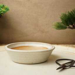 Handmade Cream Mame Bonsai Pot. 10cm Diameter, 3cm High. G2485.2 - thumbnail 2