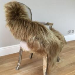 Gorgeous Light Brown Icelandic Sheepskin , Honey Coloured Luxury Hygge Interior - thumbnail 3