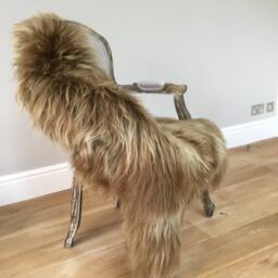 Gorgeous Light Brown Icelandic Sheepskin , Honey Coloured Luxury Hygge Interior - thumbnail 2