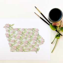 Iowa State Flower Map Watercolor Wild Prairie Rose - Art Print Wall Graduation Wedding Anniversary Realtor Moving Gift Midwest - thumbnail 3