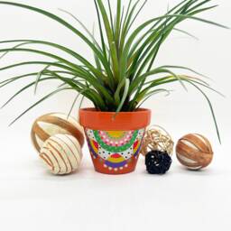 Flower Pot, Plant Pot For Small Indoor Plants