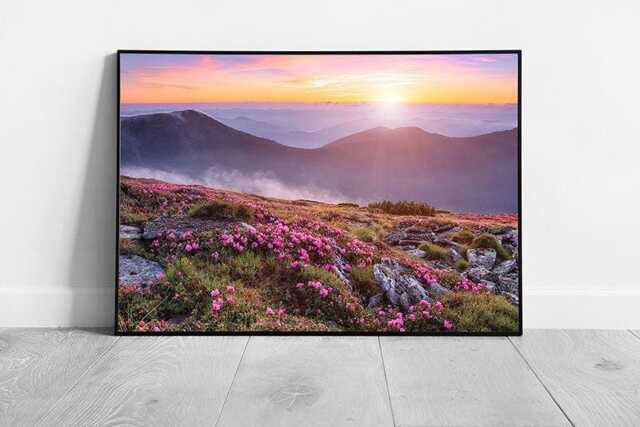 Framed Pink Rhododendron Sunset Carpathian Mountains Ukraine Landscape Wall Art Print - image 1