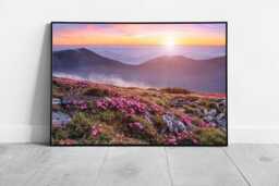 Framed Pink Rhododendron Sunset Carpathian Mountains Ukraine Landscape Wall Art Print - thumbnail 1