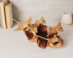 Manta Ray Family Sculpture, Coral Reef, Parasite Wood Statue, Figurine, Fish, Burl Wood, Home Decor, Decoration, Unique Gift For Mom