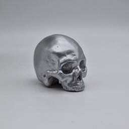 Silver Effect Solid Tiny Human Half Skull Ornament. Small Replica Plaster Of Paris Skull - thumbnail 3