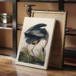 Vintage Great Blue Heron Print, John James Audubon, Wildlife Art - thumbnail 2