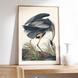 Vintage Great Blue Heron Print, John James Audubon, Wildlife Art - thumbnail 1