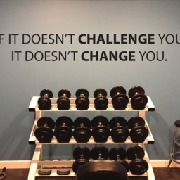 Physical Therapy Wall Art, Rehab Center Ideas, Therapist Office Decor, If It Doesnt' Challenge You. It Doesn't Change - thumbnail 4
