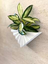 Mid Century Modern Circle Wall Planter Off White Matte Finish