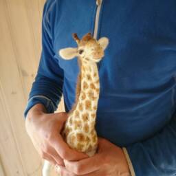 Needle Felted Giraffe Sculpture Handmade Wool Safari Animal - thumbnail 4