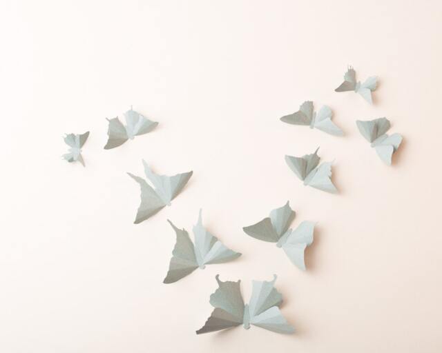 3D Wall Butterflies Heather Butterfly Silhouettes For Girls Room, Nursery, & Home Art Decor - image 1