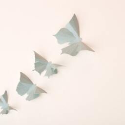3D Wall Butterflies Heather Butterfly Silhouettes For Girls Room, Nursery, & Home Art Decor - thumbnail 3