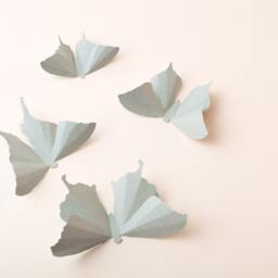 3D Wall Butterflies Heather Butterfly Silhouettes For Girls Room, Nursery, & Home Art Decor - thumbnail 2
