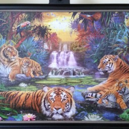 Professionally Framed Completed 3000 Piece Ravensburger Tigers At The Waterhole Puzzle Wall Art & Decor - thumbnail 3