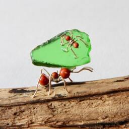 Tiny Leaf Cutter Ants Sculpture With One Major & Minor Riding A Sea Glass Leaf Fragment - thumbnail 3