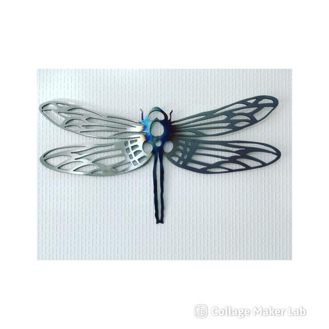 steel Dragonfly Wall Art Lacquered Garden Decor - 40cm - image 1