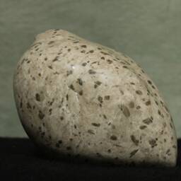 Bird Made Of Alabaster - Hand Flatterer Sculpture - thumbnail 4
