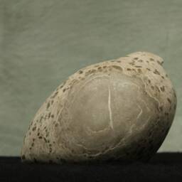 Bird Made Of Alabaster - Hand Flatterer Sculpture - thumbnail 3