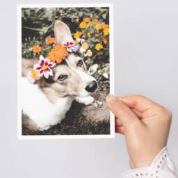 Embroidered Pet Portrait Bereavement Gift - Memorial Gift For Best Friend - thumbnail 2