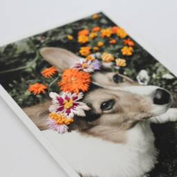 Embroidered Pet Portrait Bereavement Gift - Memorial Gift For Best Friend - thumbnail 3