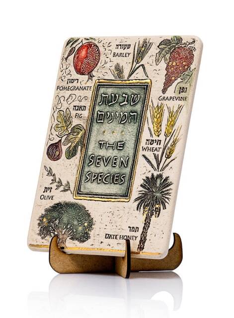 The Seven Species - Handmade Wall Hanging Plaque - image 1