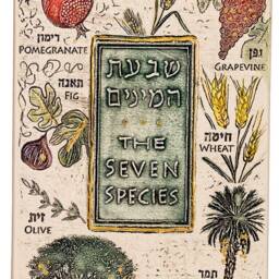 The Seven Species - Handmade Wall Hanging Plaque - thumbnail 2