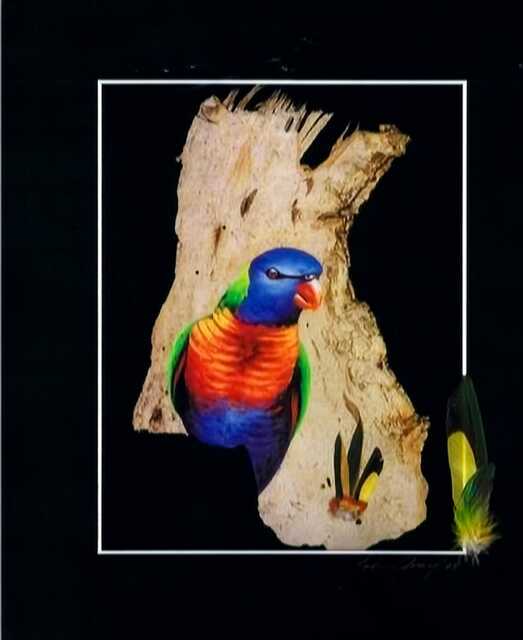Australian Rainbow Lorikeet With Real Feathers Buy Direct From Artist - image 1