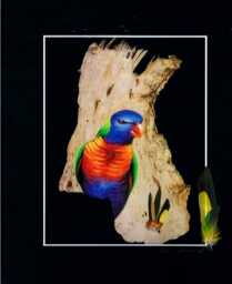 Australian Rainbow Lorikeet With Real Feathers Buy Direct From Artist - thumbnail 1