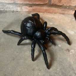 Cast Iron Metal Spider Garden/Indoor Ornament - thumbnail 3