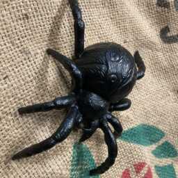 Cast Iron Metal Spider Garden/Indoor Ornament - thumbnail 4