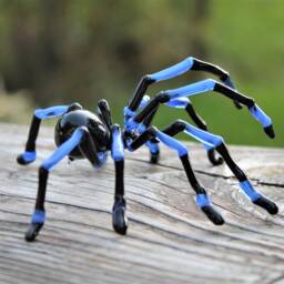 Hand Blown Glass Tarantula Spider Sculpture Halloween Glass Murano Blue - thumbnail 3