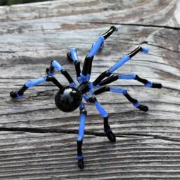 Hand Blown Glass Tarantula Spider Sculpture Halloween Glass Murano Blue - thumbnail 4