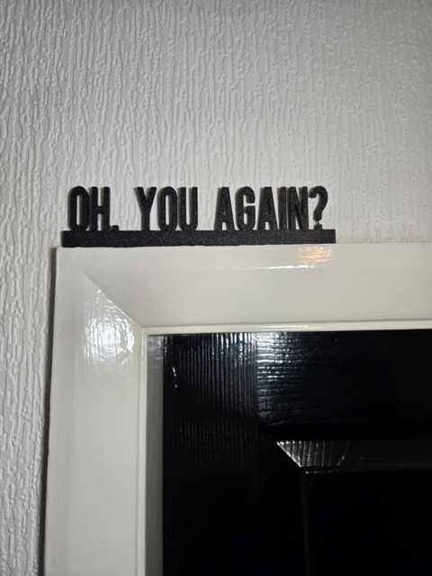 Oh, You Again? Door Topper, Shelf Decor, Wall Quirky Home Interior Gift, Door Decoration - image 1