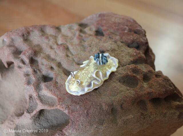 Tom The Nudibranch - Ardeadoris Tomsmithi - image 1