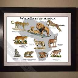Wild Cats Of Africa Poster Print - Signed By Artist - thumbnail 2
