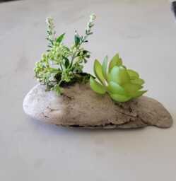 Natural Driftwood Planter With Faux Succulents Lake Superior Decor