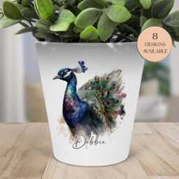 Watercolour Peacock Plant Pot, Pen Makeup Brushes Holder - The Perfect Gift, Personalised For You - thumbnail 2