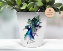 Watercolour Peacock Plant Pot, Pen Makeup Brushes Holder - The Perfect Gift, Personalised For You - thumbnail 1
