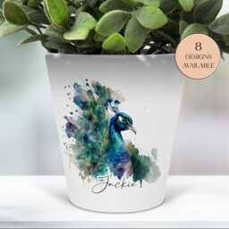 Watercolour Peacock Plant Pot, Pen Makeup Brushes Holder - The Perfect Gift, Personalised For You - thumbnail 3