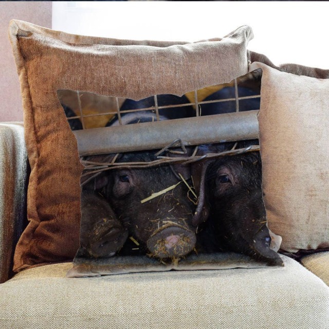 Pigs Black Farm Outdoor Photography - Decorative Pillow Throw Cushion Fabric , Case Cover Or With Filling