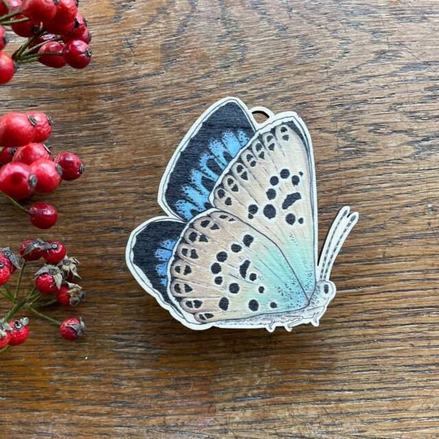 Large Blue Spring Butterfly Wooden Decoration Hand-Illustrated Birch Ornament - image 1