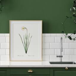 Antique Daffodil Botanical Print, Vintage Floral Wall Art - thumbnail 2