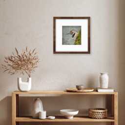 Northern Flicker Bird Print - Fine Art Photo Collage, Signed - thumbnail 2