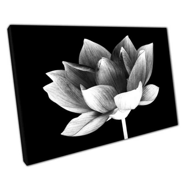 Serene Lotus Flower Photography Minimalist Abstract Floral Canvas Wall Art For Home & Office Decor - image 1